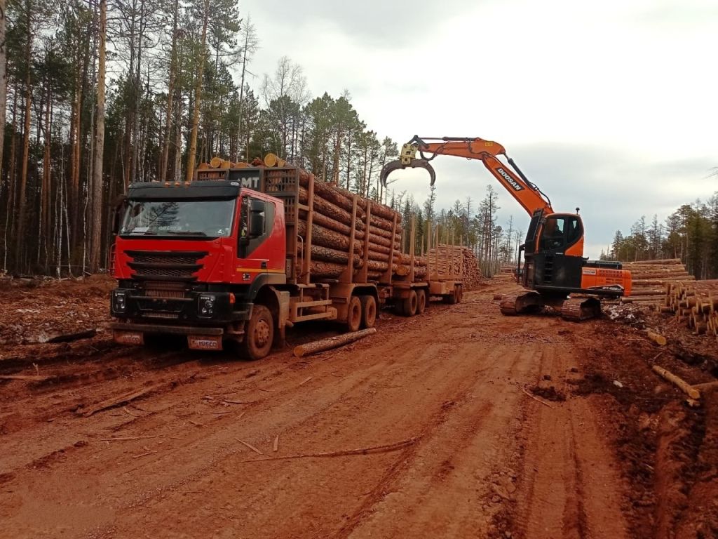 С наступающим Днём работника леса